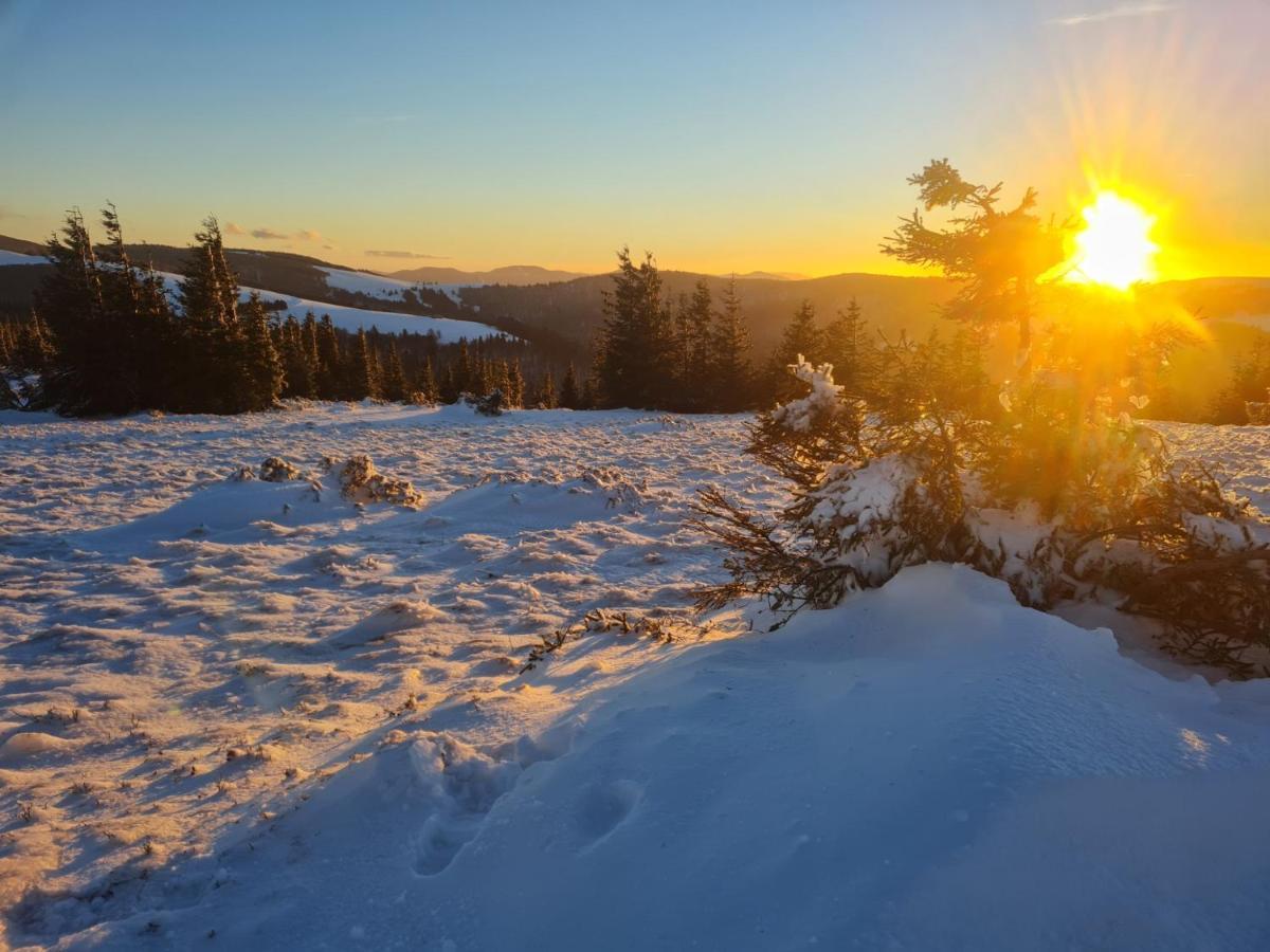 Spacieux Et Confortables Gites A Proximite Randonnees, Lacs, Ski Nature Sondernach 外观 照片