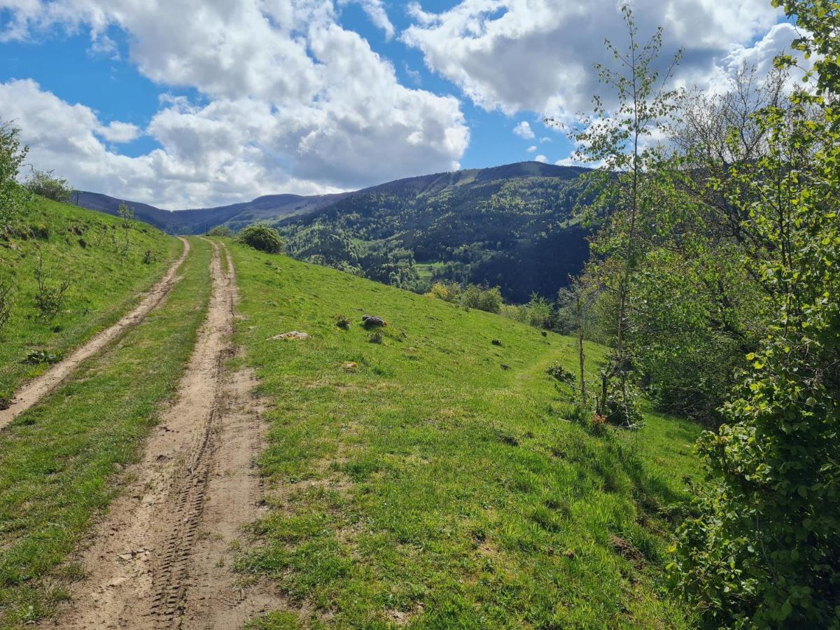 Spacieux Et Confortables Gites A Proximite Randonnees, Lacs, Ski Nature Sondernach 外观 照片
