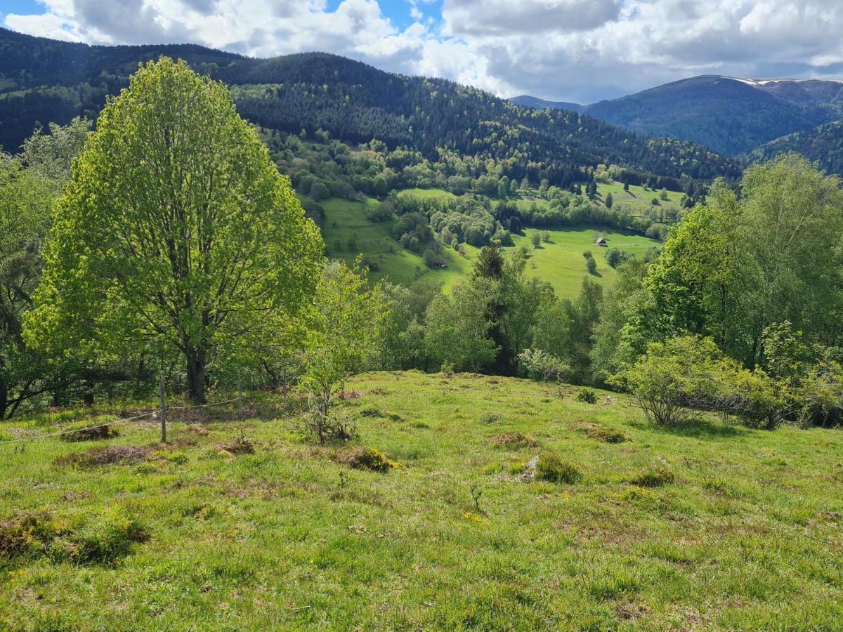 Spacieux Et Confortables Gites A Proximite Randonnees, Lacs, Ski Nature Sondernach 外观 照片