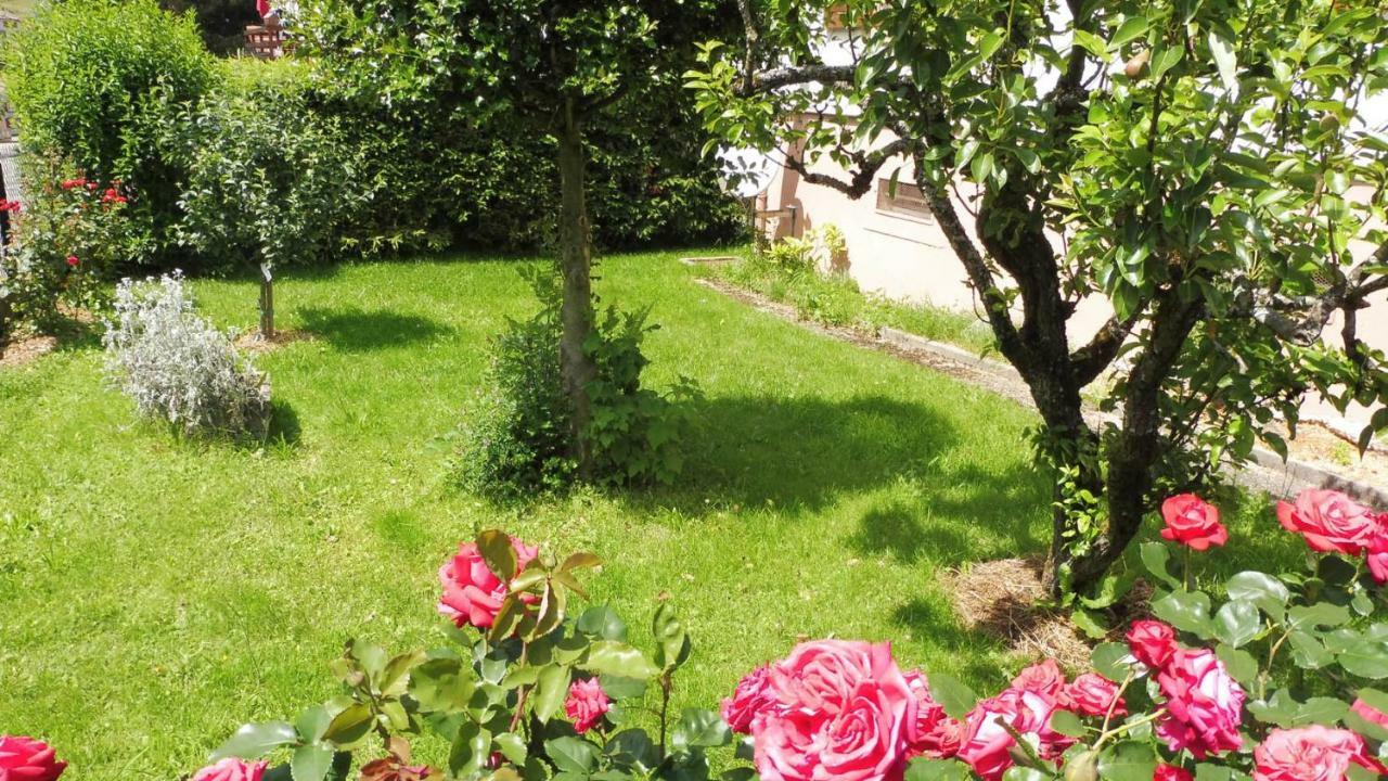 Spacieux Et Confortables Gites A Proximite Randonnees, Lacs, Ski Nature Sondernach 外观 照片