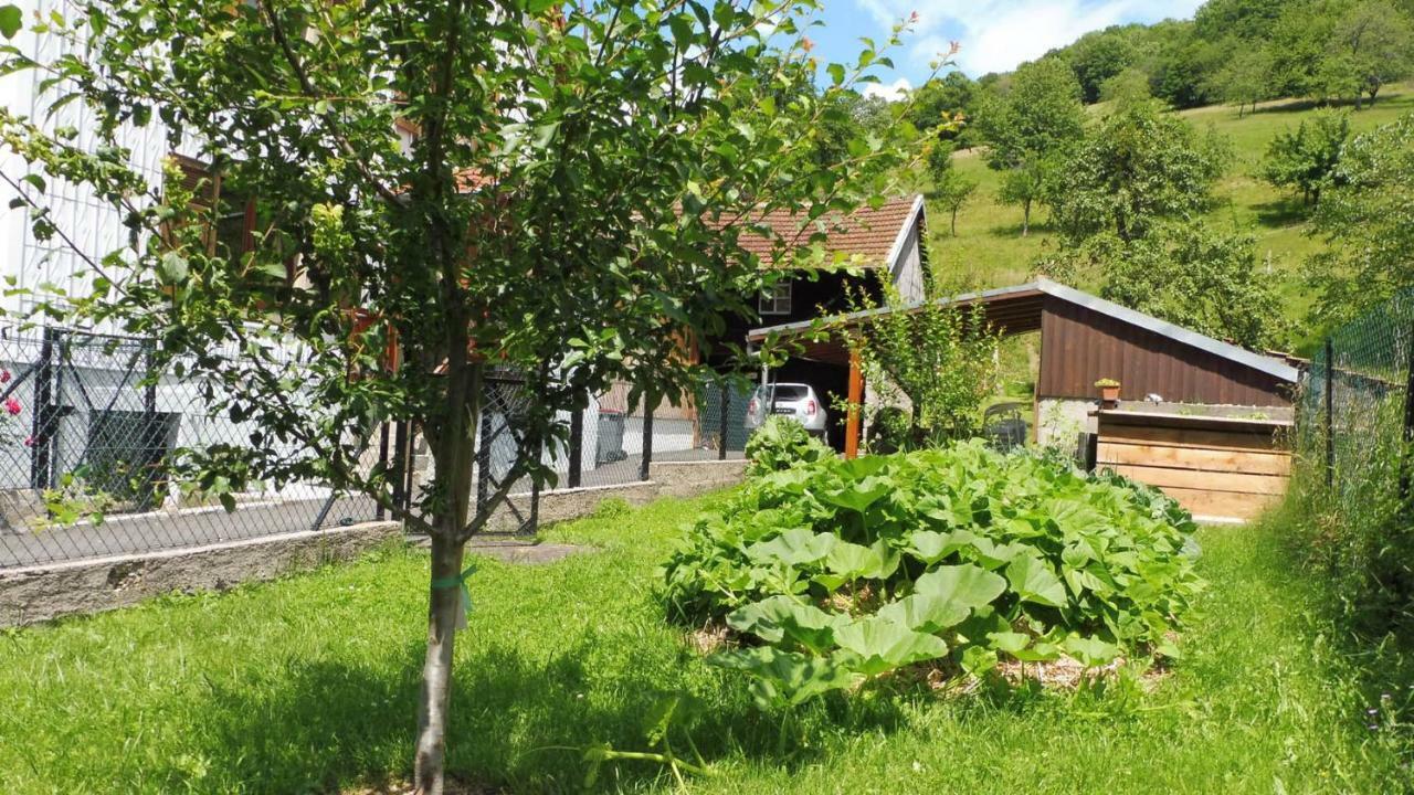 Spacieux Et Confortables Gites A Proximite Randonnees, Lacs, Ski Nature Sondernach 外观 照片