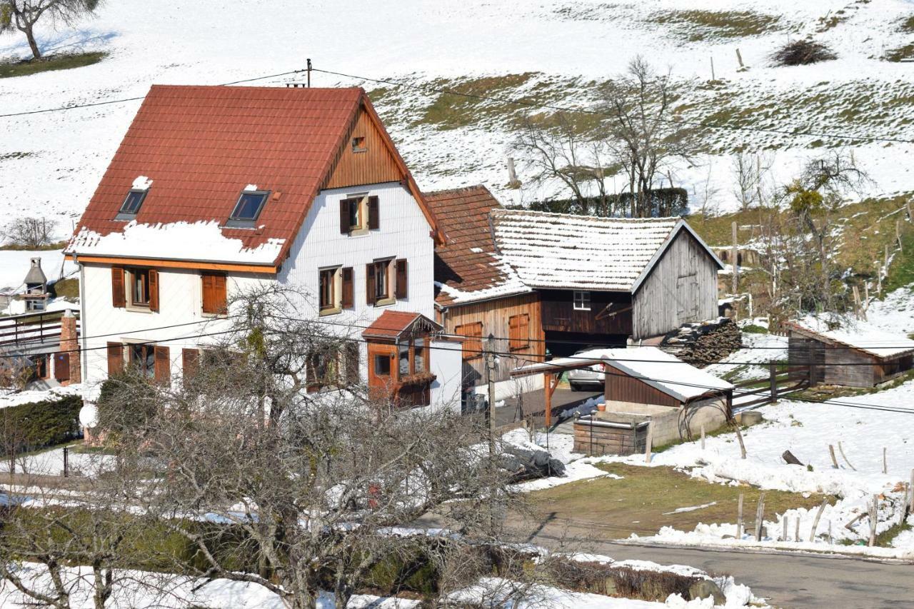 Spacieux Et Confortables Gites A Proximite Randonnees, Lacs, Ski Nature Sondernach 外观 照片