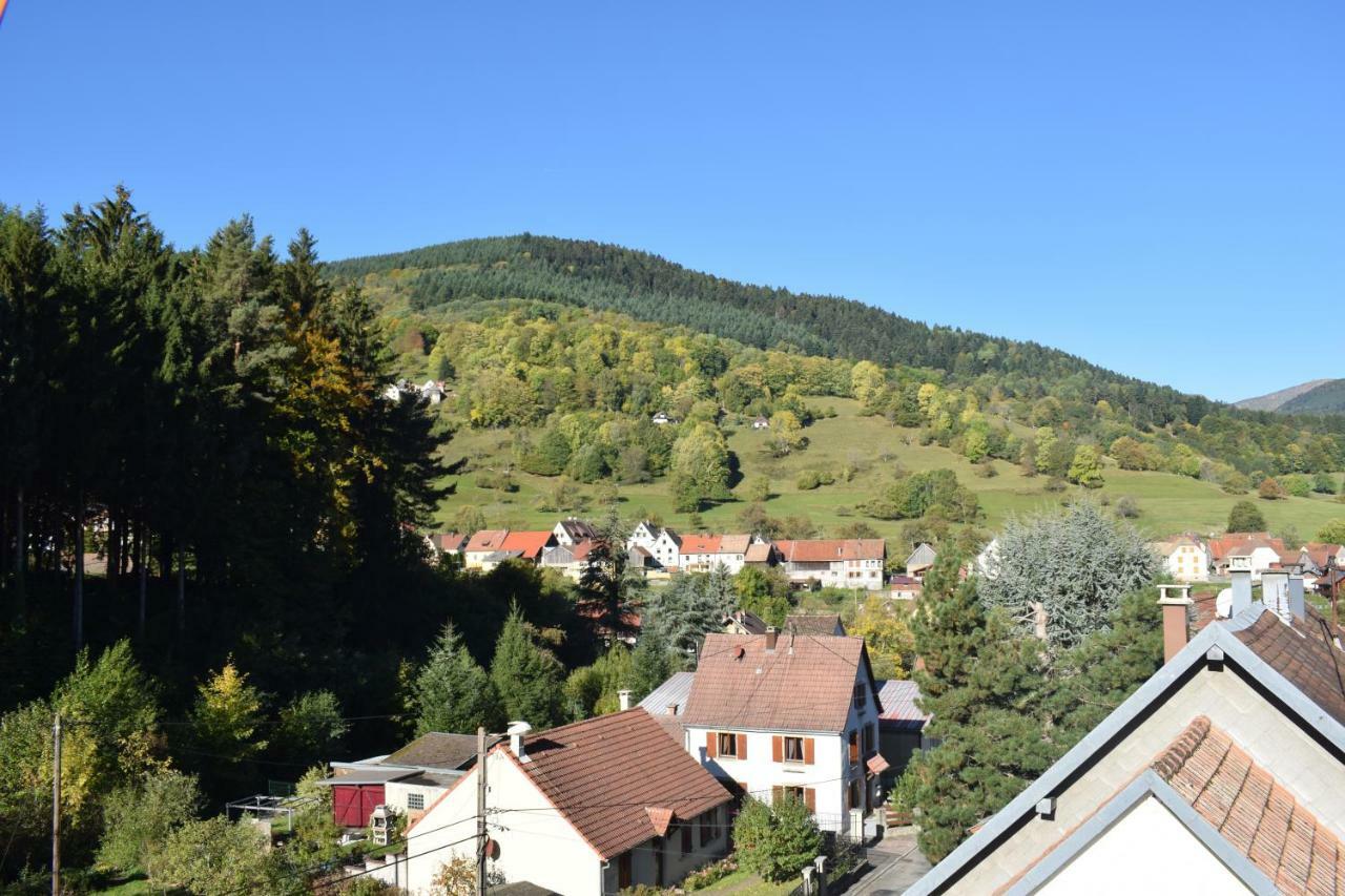 Spacieux Et Confortables Gites A Proximite Randonnees, Lacs, Ski Nature Sondernach 外观 照片