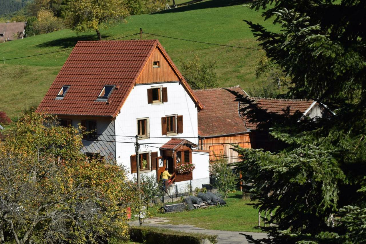 Spacieux Et Confortables Gites A Proximite Randonnees, Lacs, Ski Nature Sondernach 外观 照片